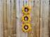 Upcycled Sunflowers