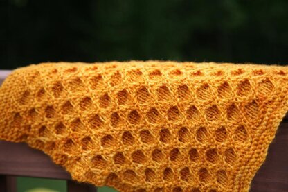 HoneyBee
