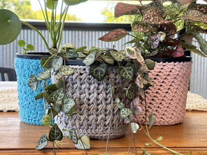 Trio of Pot Plant Covers