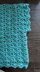 LIGHT AQUA GREEN CROCHET SHELL STITCH TOP