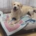 Puppy Pawprint Blanket - UK Terminology