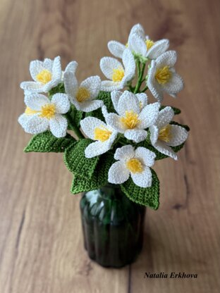 Jasmine