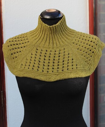 Green Lace Neck Warmer