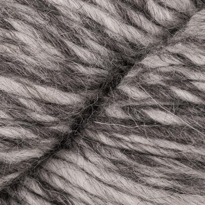 Zebra (1701)