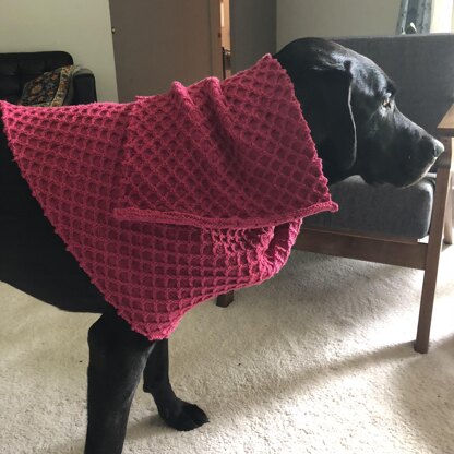 The Bees Knees Shawl