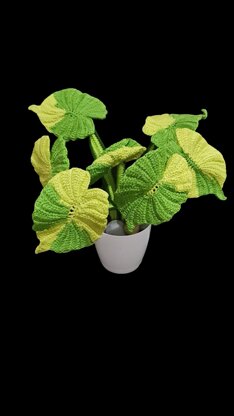 Crochet Variegated Alocasia plant