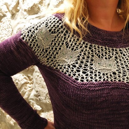 What's New Pussycat Sweater - knitting pattern