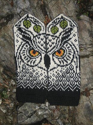 Forest Owl