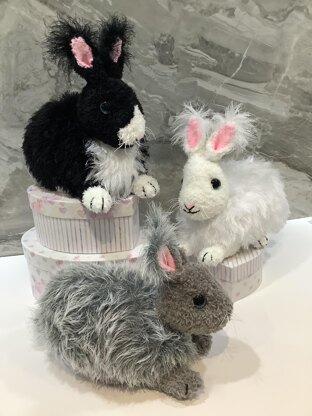 Angora Bunny Rabbits