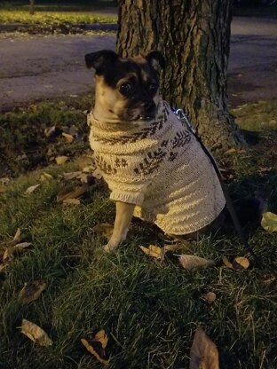 Dog Dream Sweater