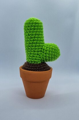 Love Cacti