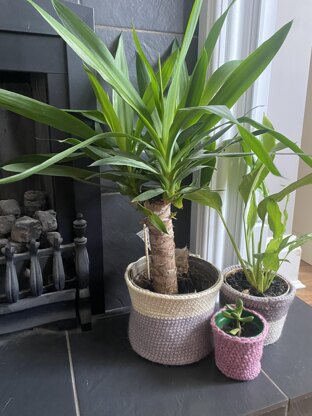 Easy Crochet Plant Pot/ Basket