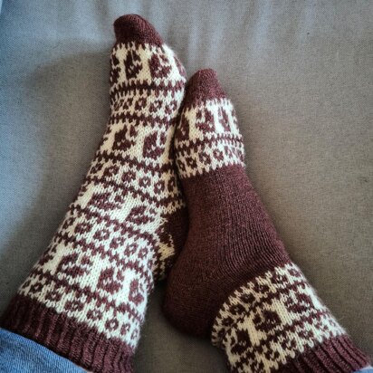 Rianelle socks - knitting pattern