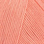 Flamingo (341)