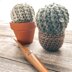 Barrel Cactus Pincushion