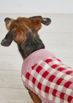 Picnic Pooch - Dog Coat Knitting Pattern For Pets in Debbie Bliss Rialto Aran by Debbie Bliss