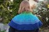 Peacock at the Beach Shawl