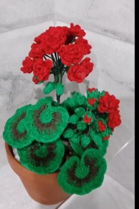 Crochet Geranium Flowers