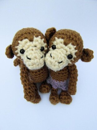 February Monkeys