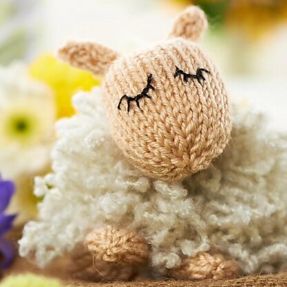 Sleepy Sheep