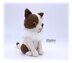 Casey Cat Crochet Pattern