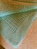 Blooming Crochet Star Stitch Blanket