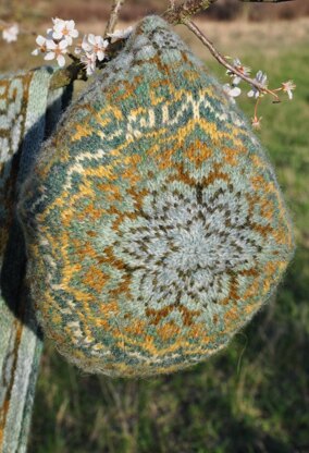 Helleborus Hat