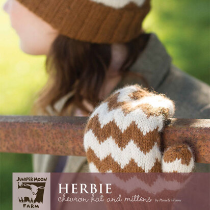 Herbie Chevron Hat and Mittens in Juniper Moon Farm Herriot