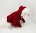 P05 Dog Clothes Puppy Red Riding Hood