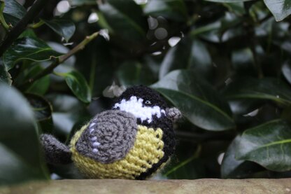 British Garden Birds Amigurumi Pattern Pack