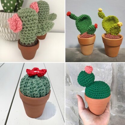 Cactus Amigurumi Bundle