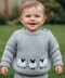 Aran Baby Sheep Sweater and Hat
