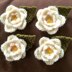 Yorkshire White Rose Corsage