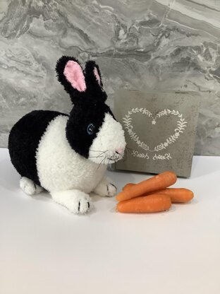 Dutch Bunny Rabbit