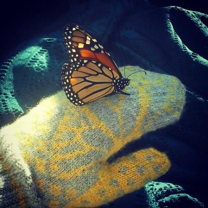 Butterfly Wish Mittens