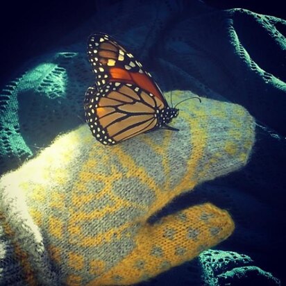 Butterfly Wish Mittens - knitting pattern