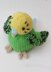 Budgie Chocolate Orange Cosy