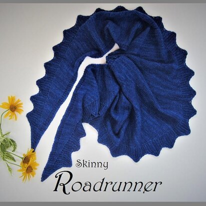 Skinny Roadrunner - knitting pattern