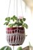 Twisted Plant Pot Cover