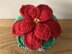 Poinsettia and Pot