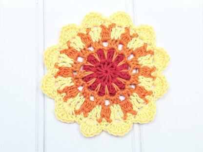 Sunshine Coasters