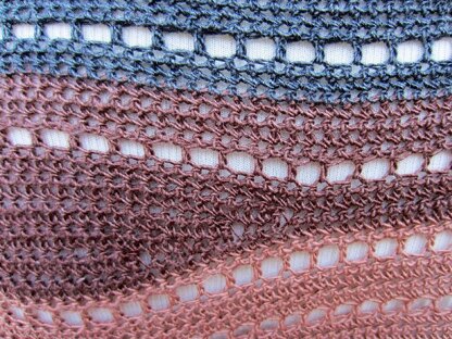 Sue's Shawlette