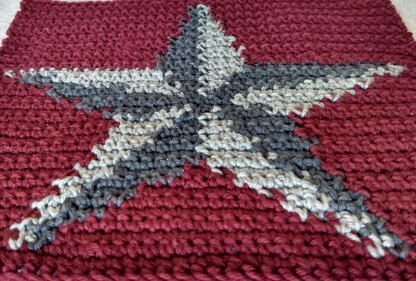 Star Wash Cloth