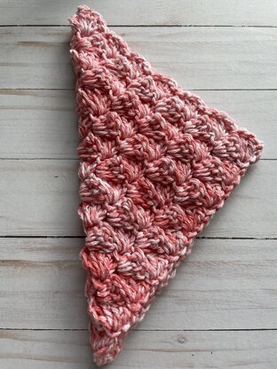 Coral Splash Dishcloth