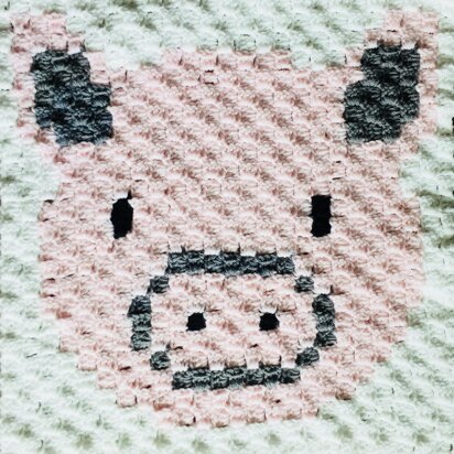 Rocky the Pig C2C Graphgan Square