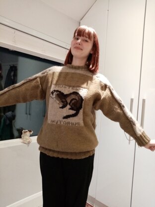 Ferret Jumper