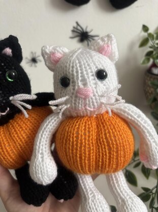 Pumpkin kitty