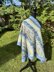 Vine Leaf Shawl
