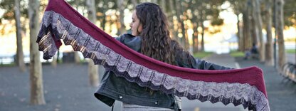 The Sticks and Bones Shawl