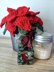 Pot of Poinsettia